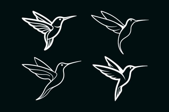 Hummingbird Graphics for Print Materials Mockups